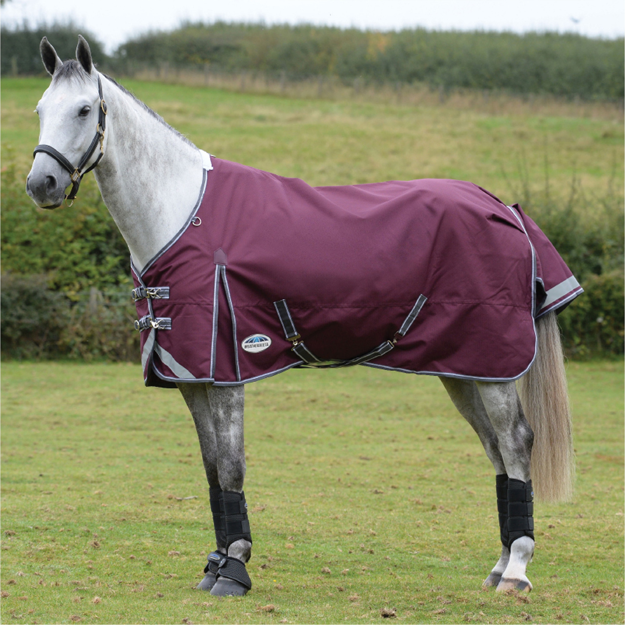 Weatherbeeta Comfitec Plus Dynamic II Medium-Lite Standard Neck Turnout Rug - Maroon